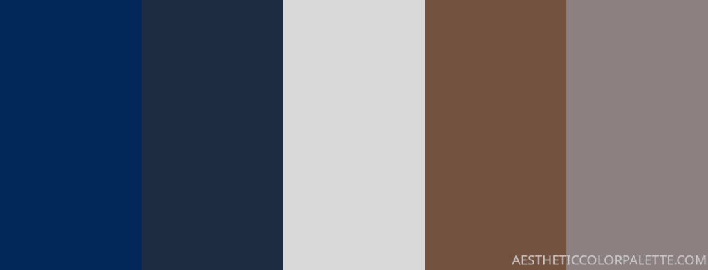 Grey and blue brown color palette