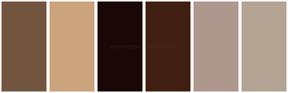 Brown aesthetic color combination swatches