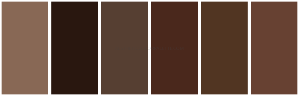 Brown aesthetic color scheme inspiration