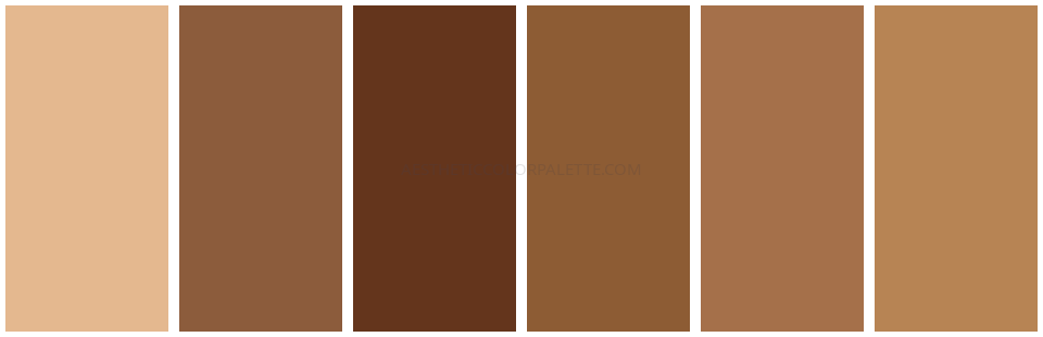 Brown aesthetic color scheme