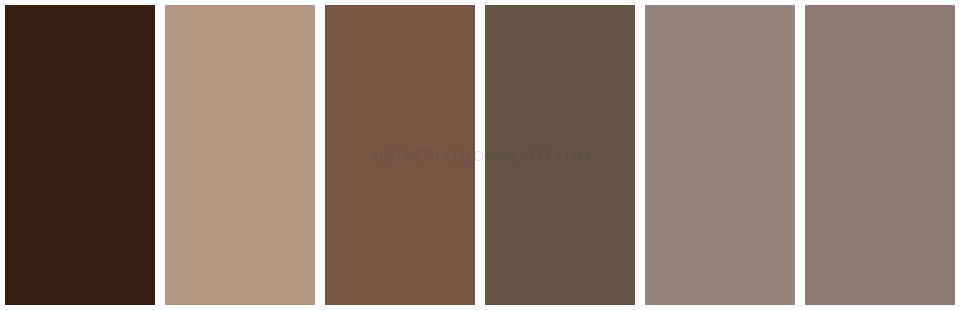 Brown aesthetic color swatches