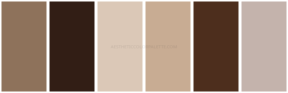 Brown aesthetic color tones