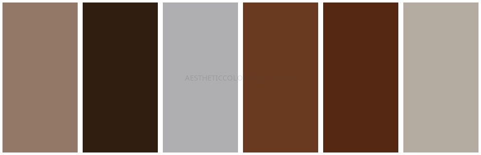 Brown aesthetic hex swatches