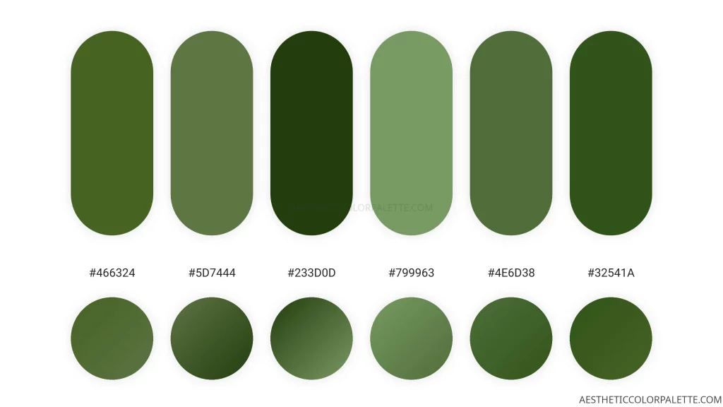 Green tea HTML color scheme