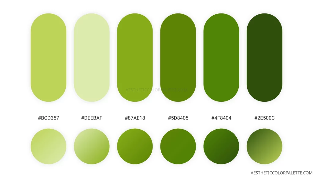 Green tea color combination swatches
