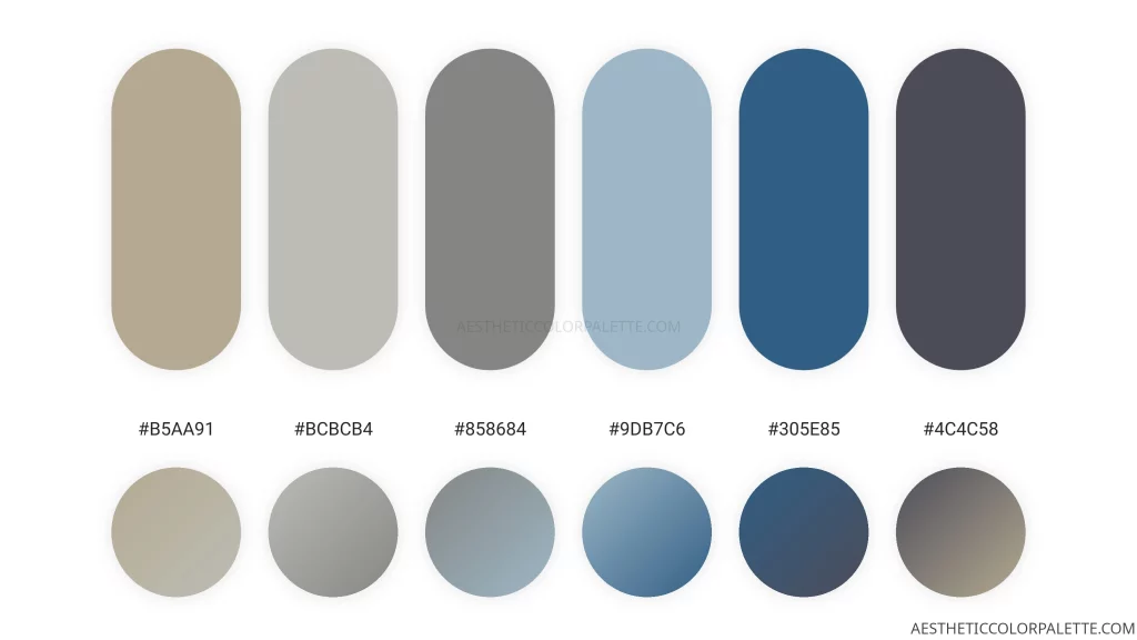 Silvery blue color combinations 