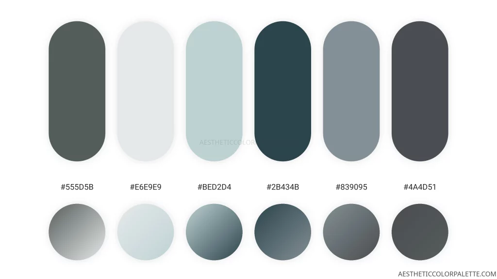 Silvery blue color palette code