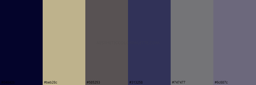color palette 04042b beb28c 585253 313258 747477 6c687c