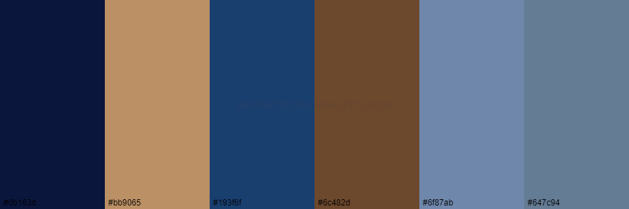 color palette 0b163d bb9065 193f6f 6c482d 6f87ab 647c94