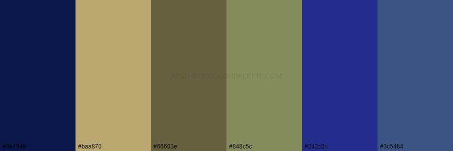 color palette 0b1649 baa870 66603e 848c5c 242c8c 3c5484