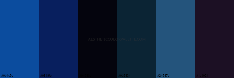 color palette 0b4c9e 081f5e 04040d 0b2434 24547c 1c1024