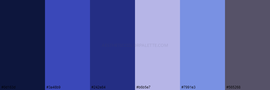 color palette 0d163d 3a48b9 242e84 b6b5e7 7991e3 565268