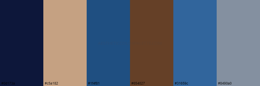 color palette 0d173a c5a182 1f4f81 654027 31659c 8490a0