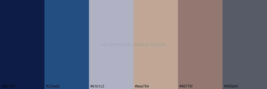 color palette 0d1b47 224e82 b1b1c3 bea794 90776f 555a64