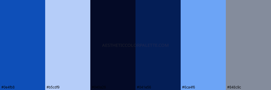 color palette 0e4fb8 b5cdf9 040a26 041e56 6ca4f6 848c9c