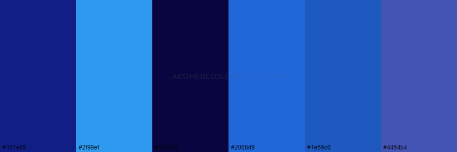 color palette 101e85 2f99ef 080540 2068d9 1e59c0 4454b4
