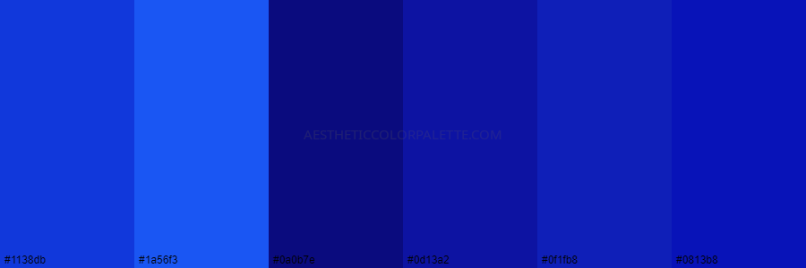 color palette 1138db 1a56f3 0a0b7e 0d13a2 0f1fb8 0813b8
