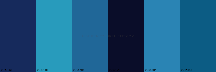 color palette 162a5c 289bbc 206798 0a0d29 2a84b4 0c5c84