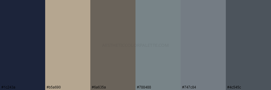 color palette 1c243a b5a690 6a635a 788488 747c84 4c545c
