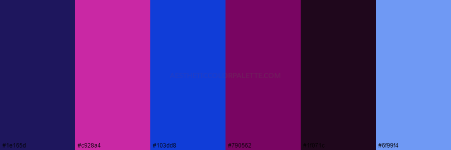 color palette 1e165d c928a4 103dd8 790562 1f071c 6f99f4