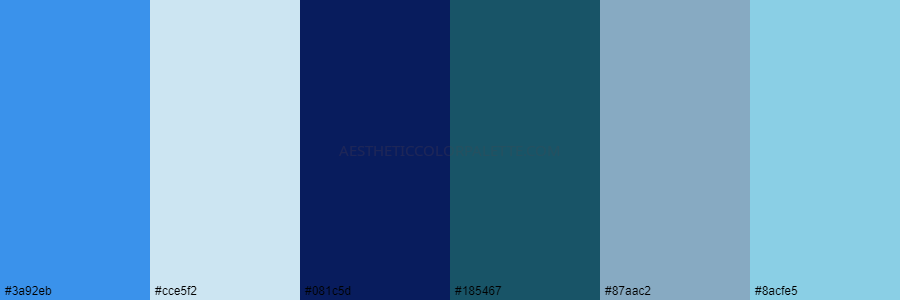 color palette 3a92eb cce5f2 081c5d 185467 87aac2 8acfe5