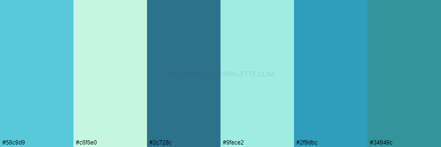 color palette 58c9d9 c6f6e0 2c728c 9fece2 2f9dbc 34949c
