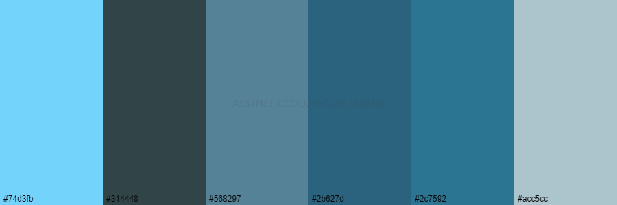 color palette 74d3fb 314448 568297 2b627d 2c7592 acc5cc