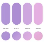 Purple Color Palettes