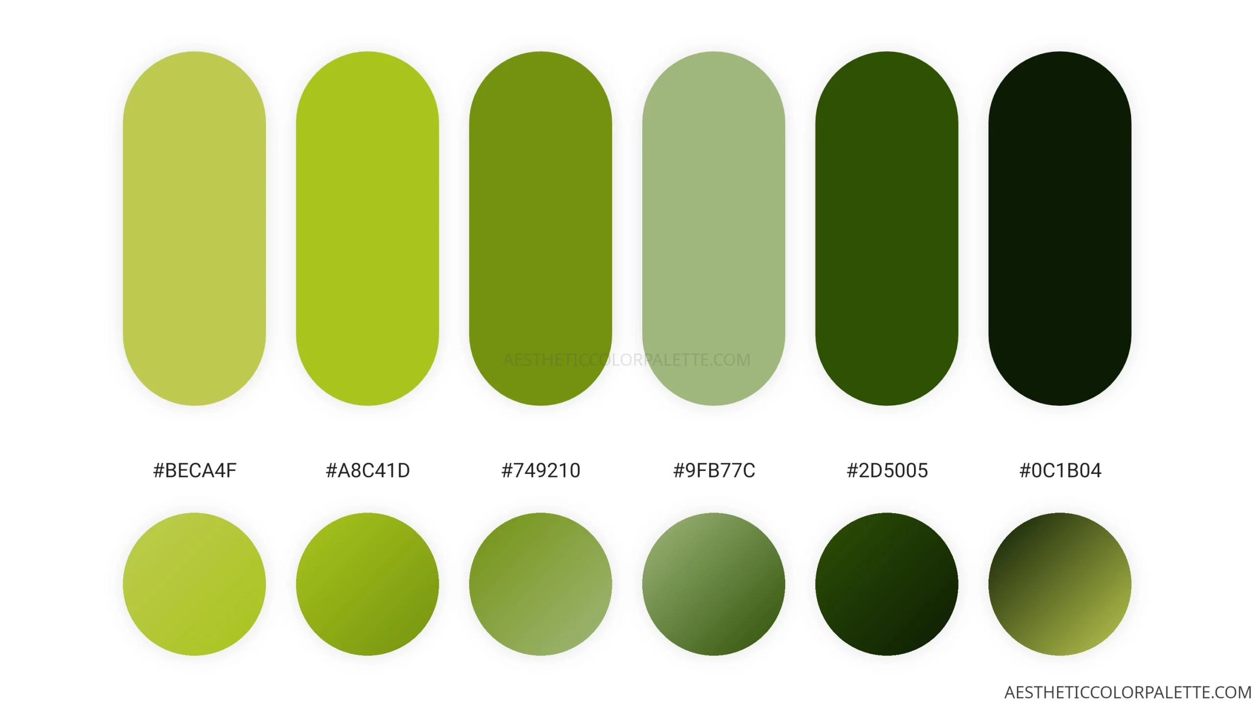 apple-green-colors-aesthetic-color-palette