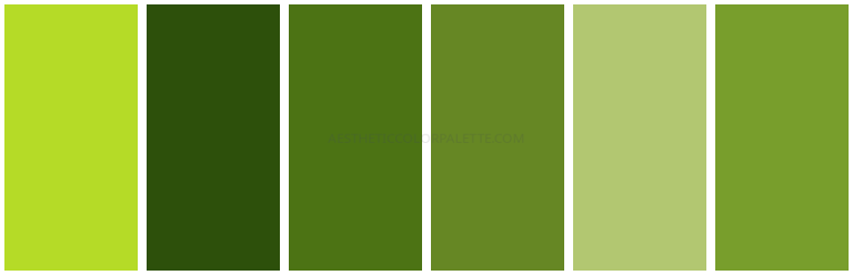 Read more about the article Bamboo Color Palettes