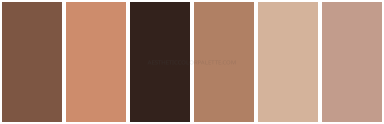 Read more about the article Brown Aesthetic Color Palettes