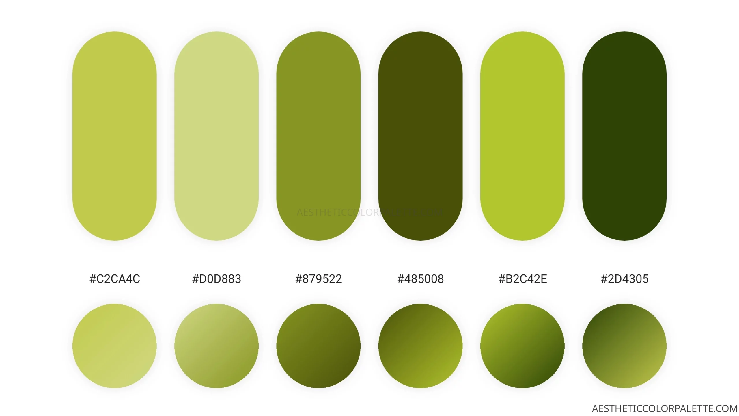 You are currently viewing Green Tea Colors