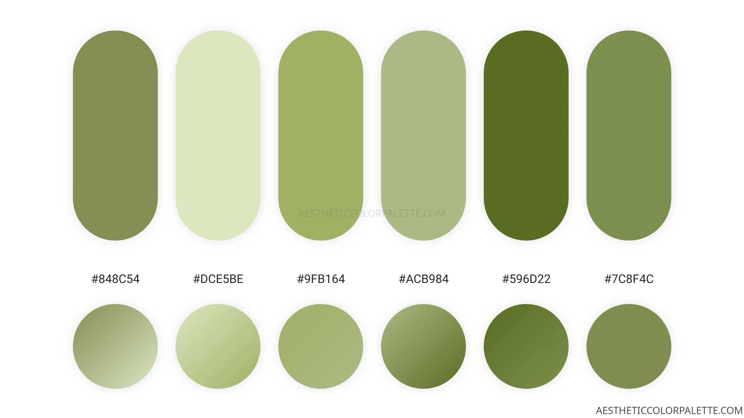 light-green-colors-aesthetic-color-palette