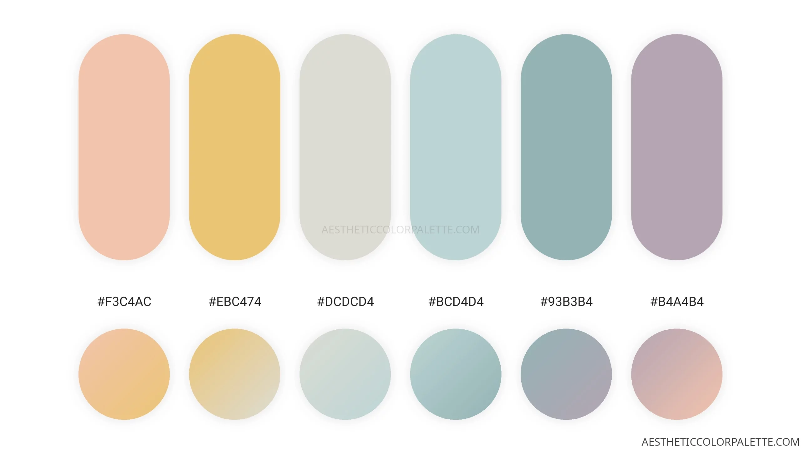 You are currently viewing Muted Summer Color Palettes