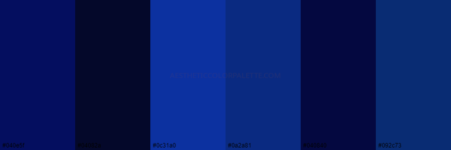 color palette 040e5f 04082a 0c31a0 0a2a81 040840 092c73