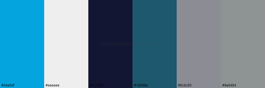color palette 04a5df eeeeee 121633 1d586e 8c8c95 8e9494