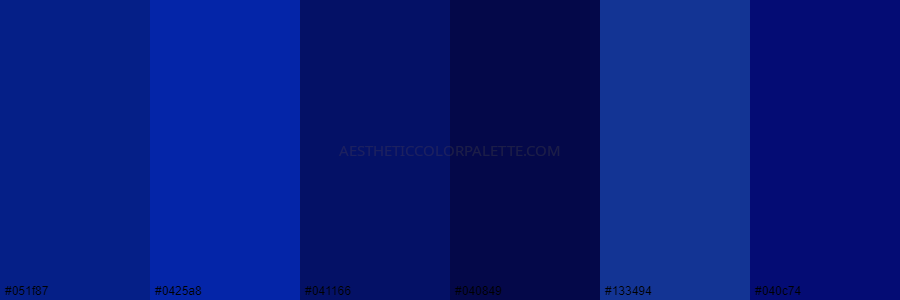 color palette 051f87 0425a8 041166 040849 133494 040c74