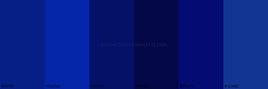 color palette 061f87 0425a8 041167 040849 040c74 123492