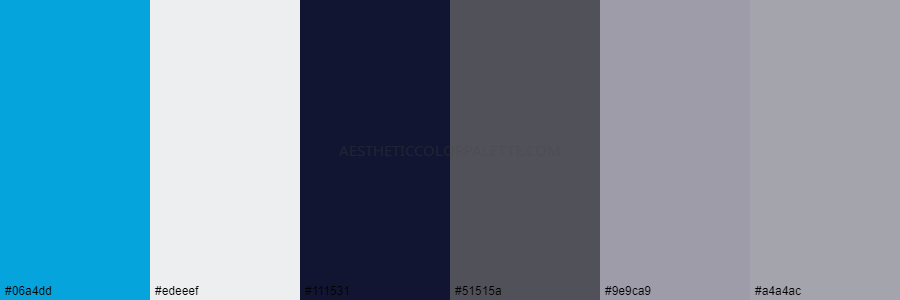 color palette 06a4dd edeeef 111531 51515a 9e9ca9 a4a4ac