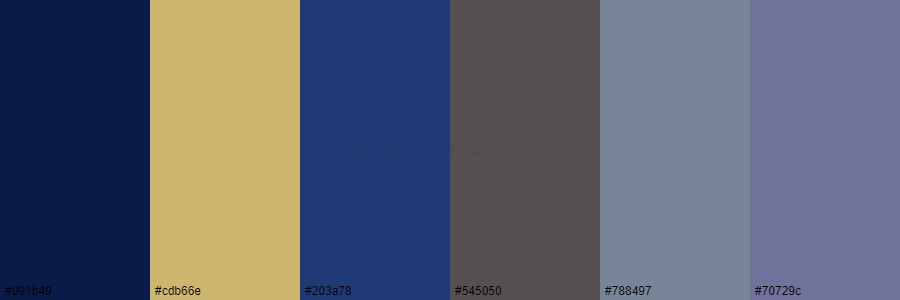 color palette 091b49 cdb66e 203a78 545050 788497 70729c