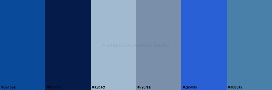 color palette 094b9a 051c4b a2bacf 798faa 2a60d6 4880a9