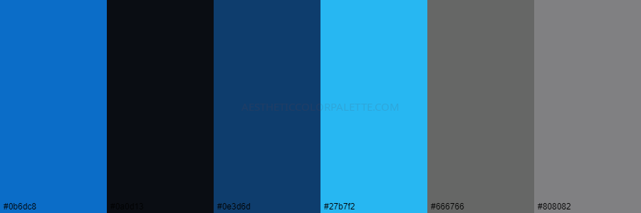color palette 0b6dc8 0a0d13 0e3d6d 27b7f2 666766 808082