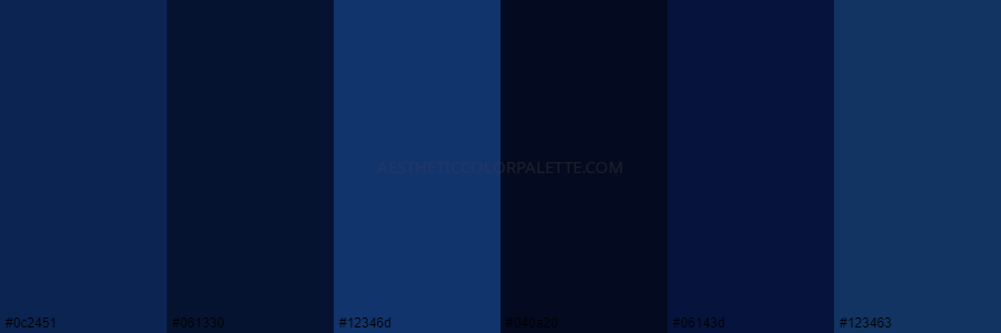 color palette 0c2451 061330 12346d 040a20 06143d 123463