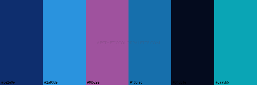 color palette 0e2e6e 2a93de 9f529e 166fac 040b1e 0aa5b5