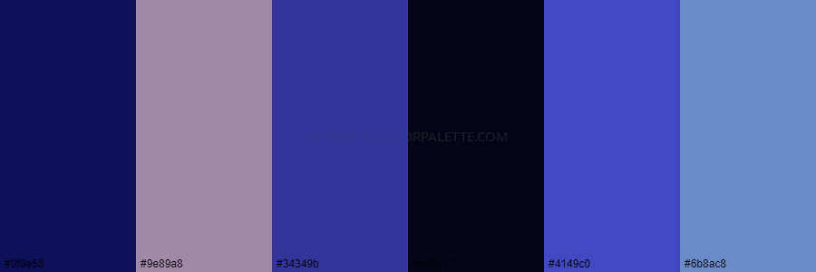 color palette 0f0e58 9e89a8 34349b 040417 4149c0 6b8ac8