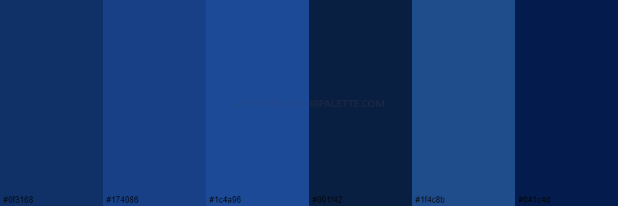 color palette 0f3168 174086 1c4a96 091f42 1f4c8b 041c4d