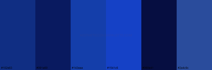 color palette 102e83 091a60 143eaa 1541c6 060e41 2a4c9c
