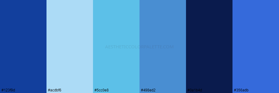 color palette 123f9d acdbf6 5cc0e8 498ed2 0a1b4d 356adb