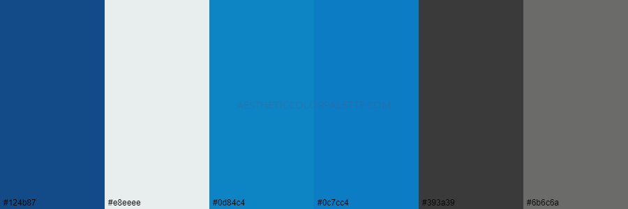 color palette 124b87 e8eeee 0d84c4 0c7cc4 393a39 6b6c6a