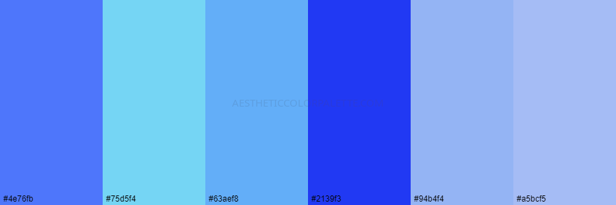 color palette 4e76fb 75d5f4 63aef8 2139f3 94b4f4 a5bcf5